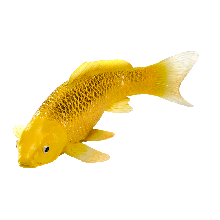 Koi Carp Kin Matsuba Realistic Fish Figurine