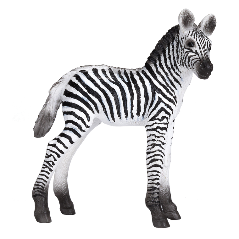 Zebra Foal Toy Realistic African Wildlife Model