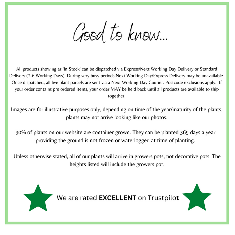 5 Shrubs Attractive to Butterflies, Bees & Other Pollinators