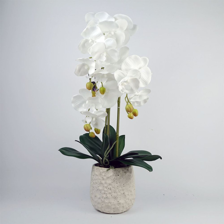 60cm White Artificial Orchid - Lifelike & Stunning - Ceramic Bubble Planter