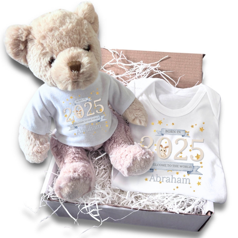 Personalised Welcome to the World 2025 Gift Hamper - Teddy & Baby Vest - NEWBORN