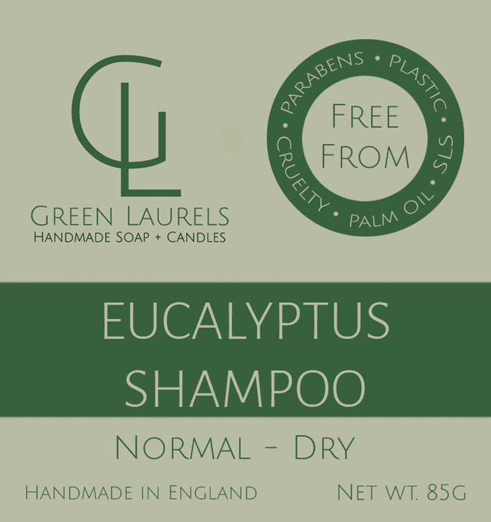 Natural Shampoo Bars for All Hair Types - Long-lasting, Plastic-free, Travel-friendly - Eucalyptus_Fine to Dry Hair