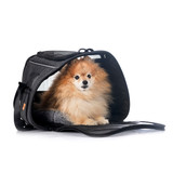 (Product 53) Sample - Pet Accessories For Sale