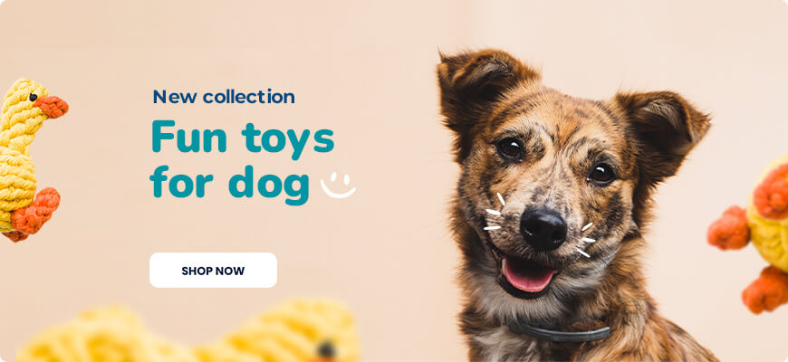 Fun toys for dog