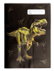 A4 Book Cover - Dinosaur Discovery 2