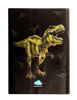 A4 Book Cover - Dinosaur Discovery 2