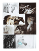 Scrapbook Cover - Black & White Horses 4