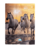 Scrapbook Cover - Cosmic Canter  1