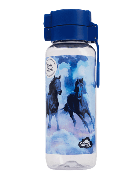 Big Water Bottle - 650ml - Sky Dancer