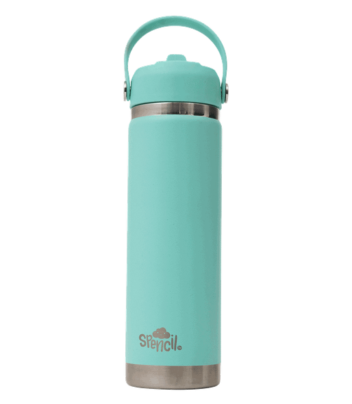 Big Insulated Water Bottle 650ml - Mint