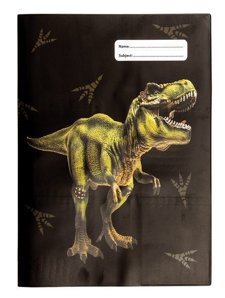 A4 Book Cover - Dinosaur Discovery 2