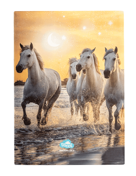A4 Book Cover - Cosmic Canter 1