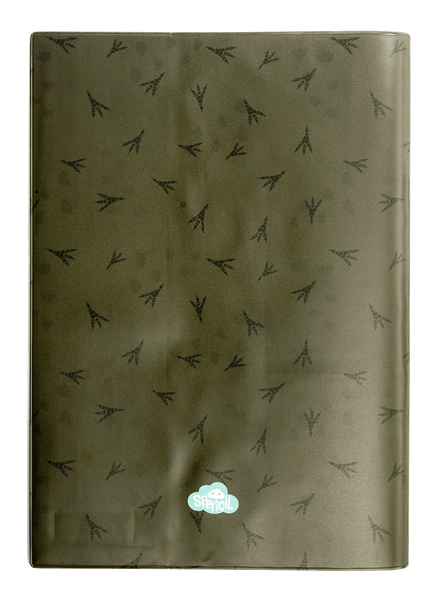 A4 Book Cover - Dinosaur Discovery 5