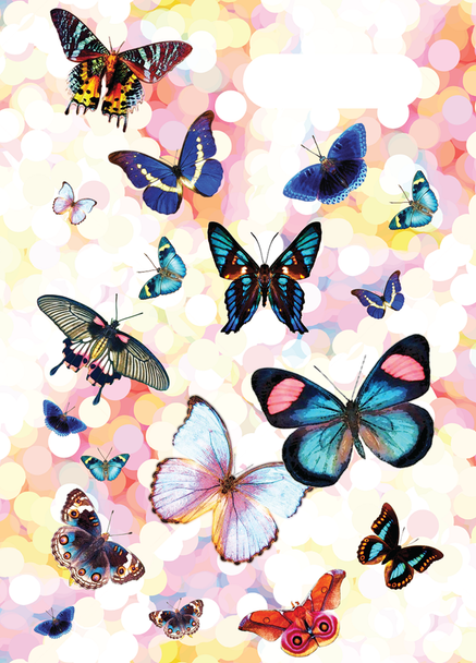A4 Book Cover - Butterflies