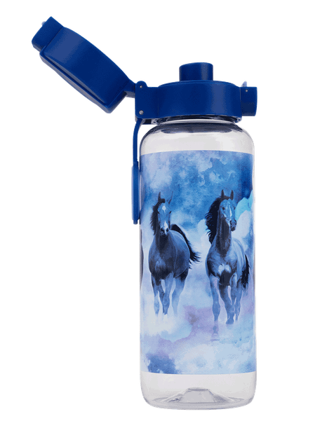 Big Water Bottle - 650ml - Sky Dancer