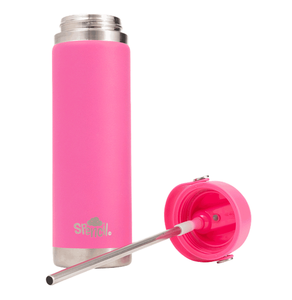 Big Insulated Water Bottle 650ml - Fuschia