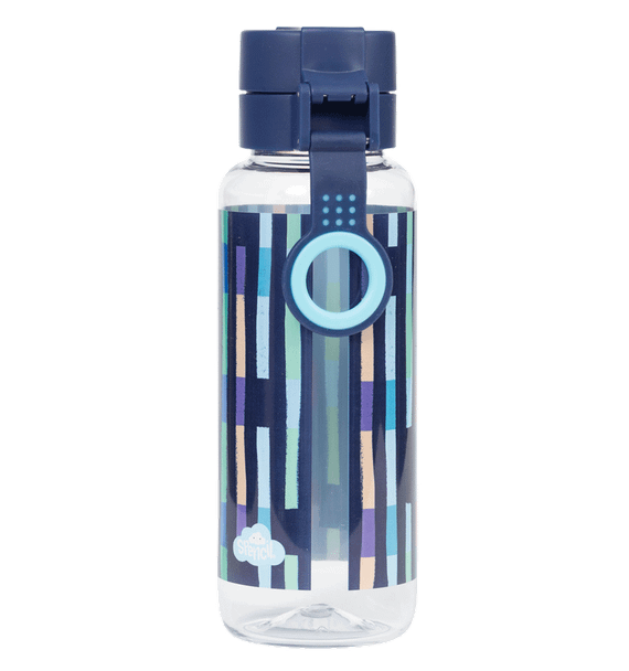 Big Water Bottle - 650ml - Bright Stripes