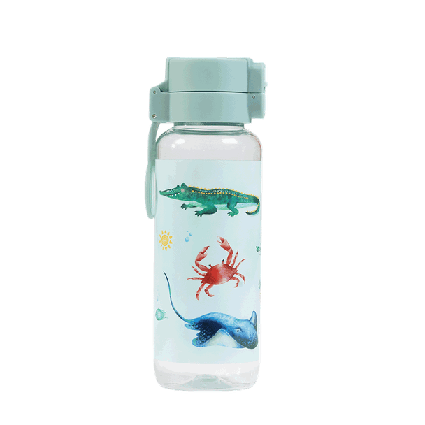 Big Water Bottle Value Pack of 8 for Boys