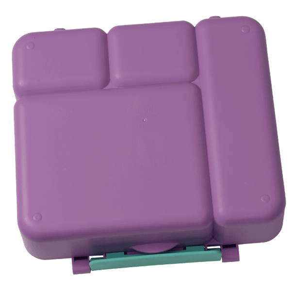 All-in Lunch Box - Lilac