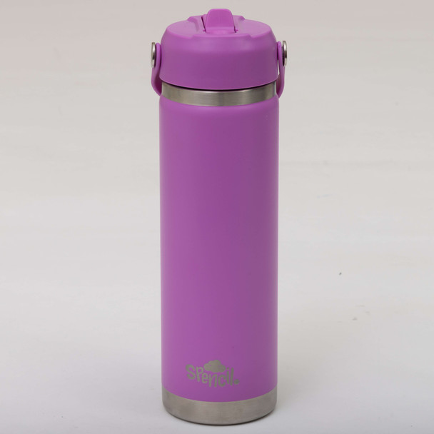 Big Insulated Water Bottle 650ml - Berry