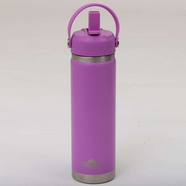 Big Insulated Water Bottle 650ml - Berry