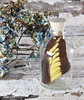 Real Papilio thoas wing in bottle 