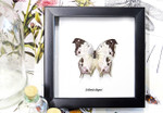 Butterfly specimen in frame Bits & Bugs