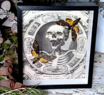  Acherontia atropos aka Death's-head double