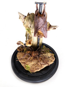 Dome Spider Bat # 17 ( LOCAL PICKUP ONLY ) 