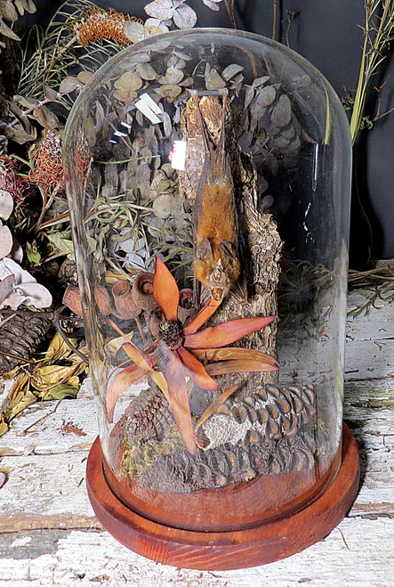 Dome  Bat # 2  ( LOCAL PICK UP ONLY )