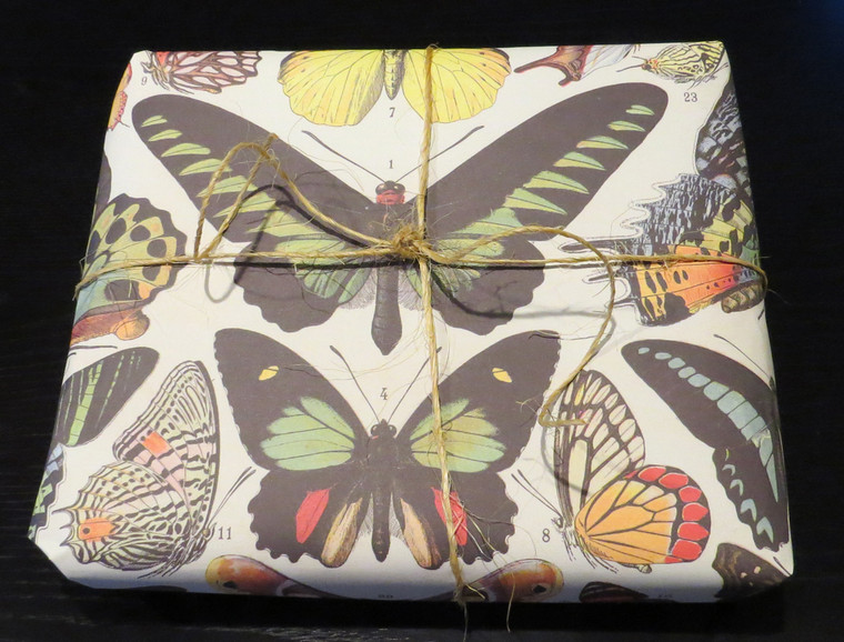 Butterfly paper Bits & Bugs