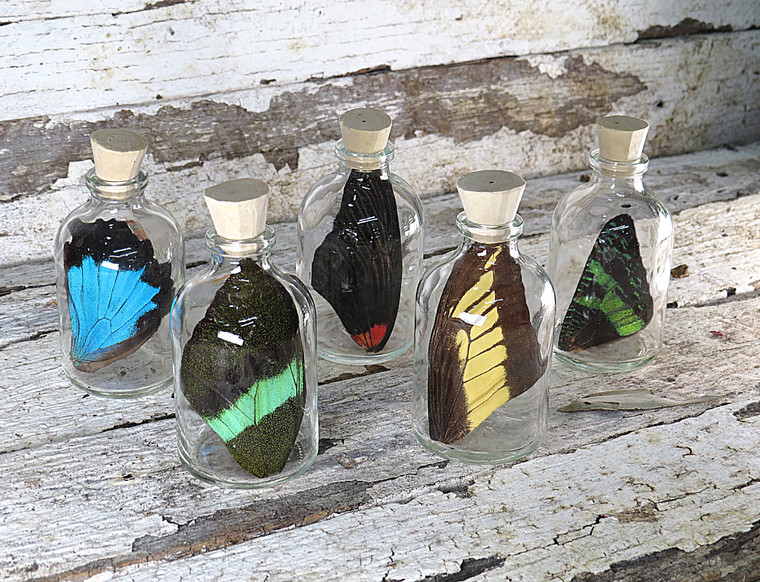 5 Assorted wings in bottles