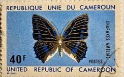 bacam-stamp.jpg
