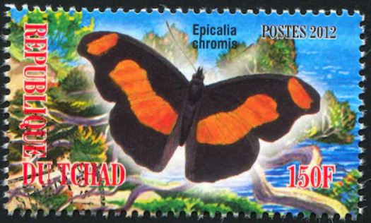 bacch-catonephele-chromius-stamp.jpg