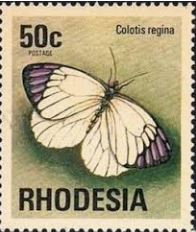 bacreg-colotis-regina-stamp.jpg