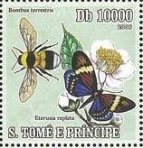 baer-stamp.jpg