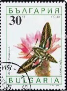 bahli-stamp.jpg