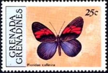 bapca-pereute-callinira-stamp.jpg