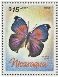 basal-salamis-cacta-stamp.jpg