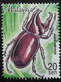 baxg-xylotrupes-gideon-stamp.jpg