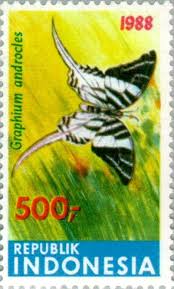 bbgav-graphium-androcles-stamp.jpg