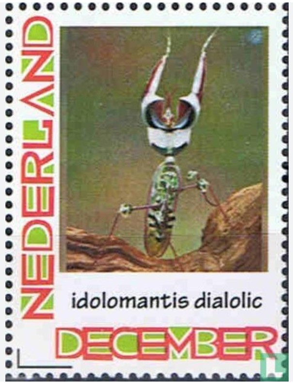 bbid-idolomantis-diabolica-stamp.jpg