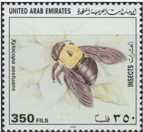 bbxcmf-xylocopa-aesluans-stamp.jpg