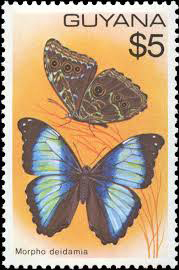 bhmd-stamp.jpg