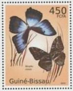 bhmph-morpho-phanodemus-blue-stamp.jpg