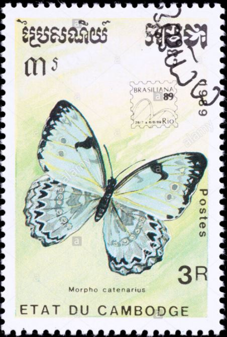 bjmcm-stamp.jpg