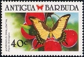 bjpandr-papilio-androgeus-stamp.jpeg