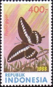 bjpgi-papilio-gigon-stamp.jpg