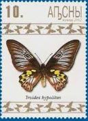bjth-troides-hypolitus-stamp-2.jpg