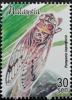 cicada-stamp-pomponia-imperatoria.jpg